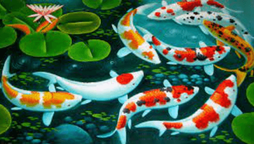 5120x1440p 329 fish wallpaper