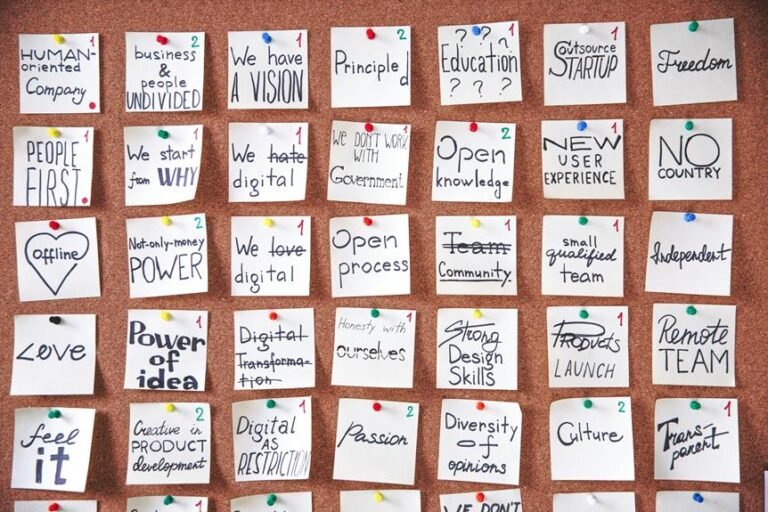 disquantified org overview mission team objectives