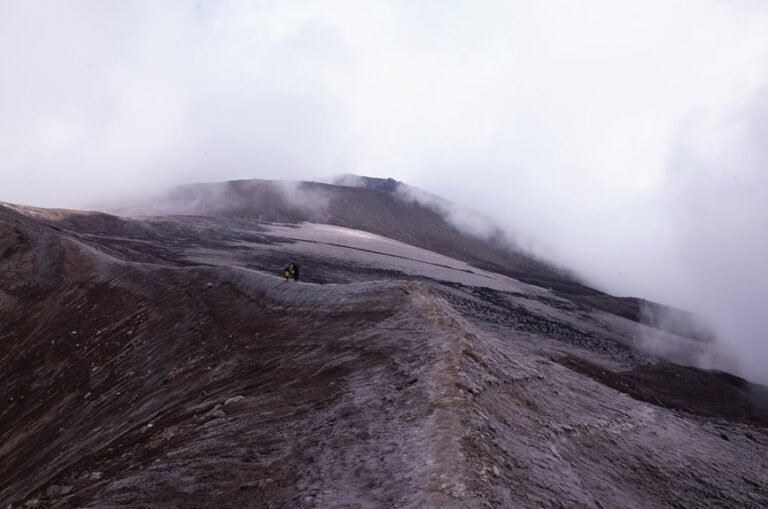 master spelling bee challenge