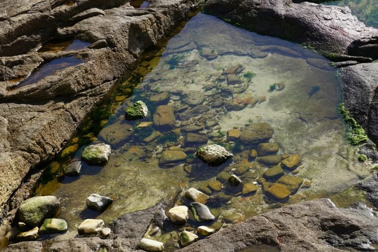 1413438478 Number Source Insights: Tracing Mobile Patterns