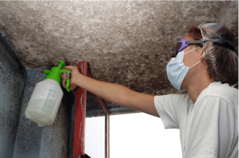 How to Prevent Mould in Your Rental Home
