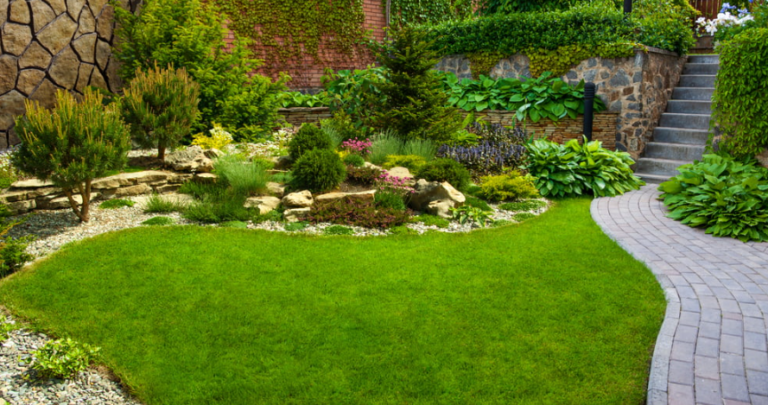 How to Create an Eco-Friendly Landscape