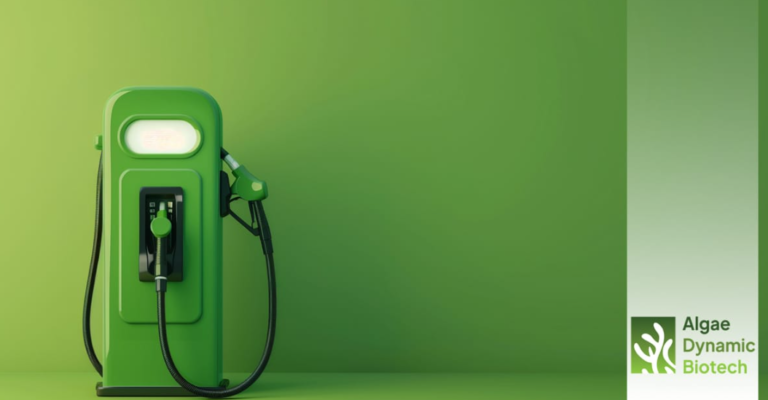 Algae Dynamic Biotech Advances Algae Fuel