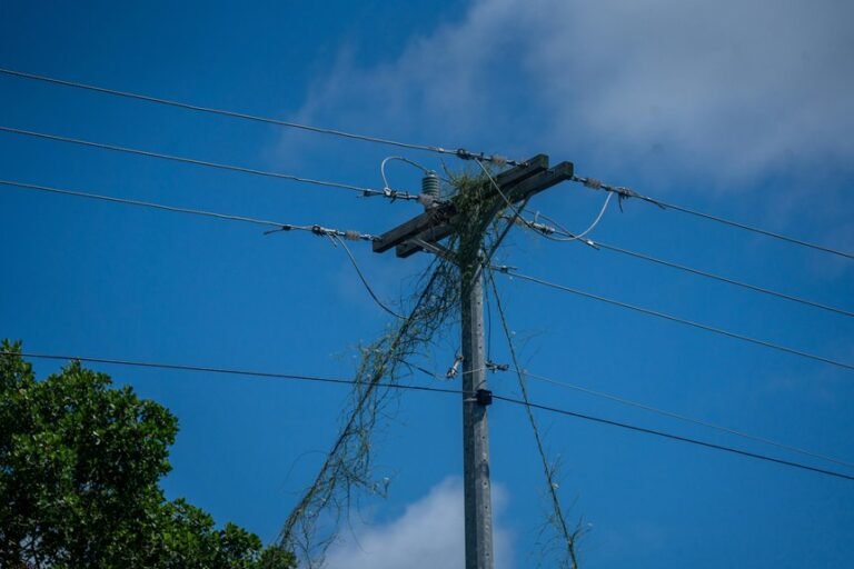 Smart Digital Infrastructure 912048300 for Growth