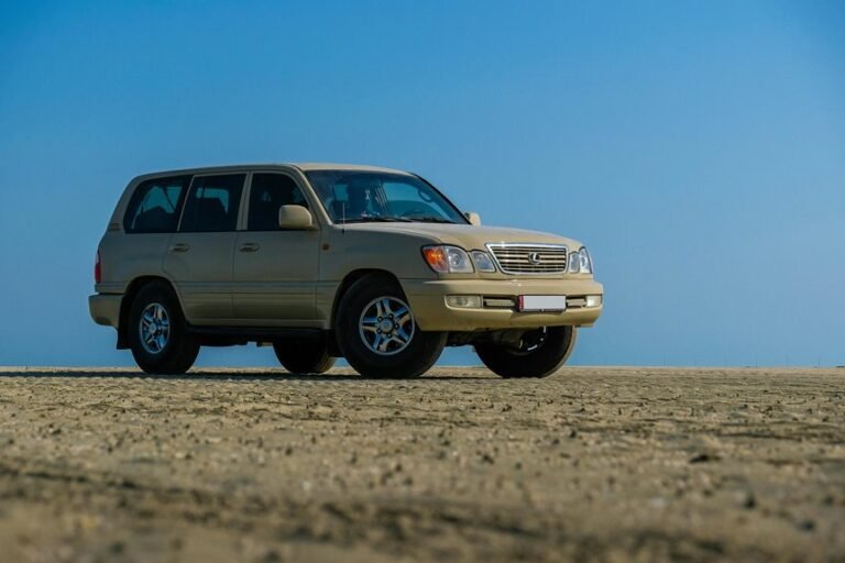 Reliable Online Platform 911418282 for Stability