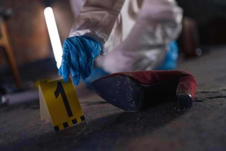 Explore Verified Registry Evidence for 3533208167, 3299689224, 3511339142, 3510909386, 3516496177