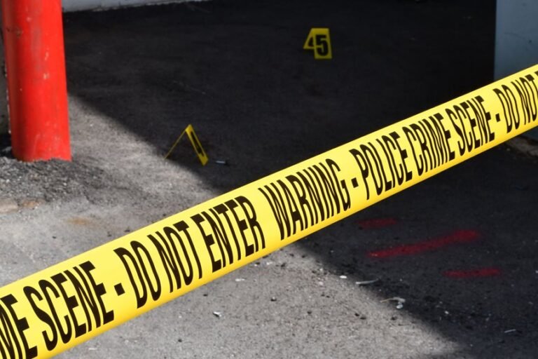 Review Registry Investigation Entries for 3711795505, 3501989188, 3512915117, 3289481790, 3889046490