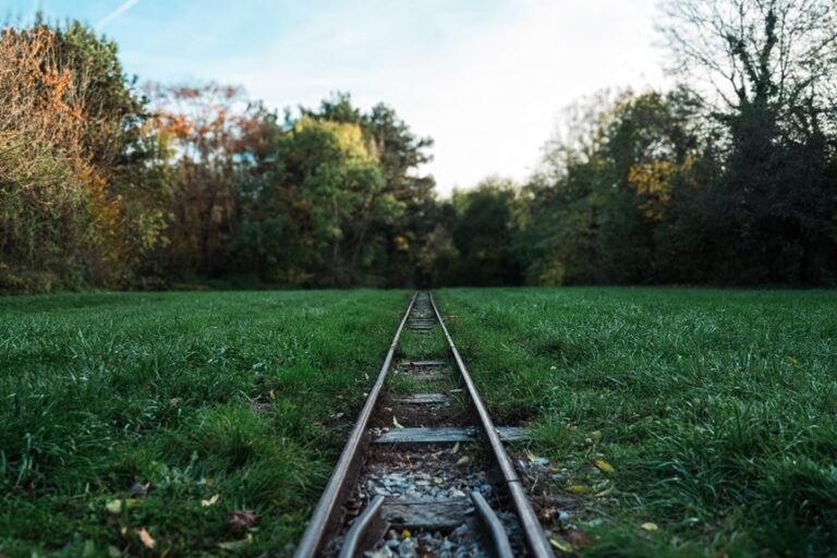 Track Registry Lookup Findings for 3534353134, 3713380779, 3518675564, 3510077494, 3519057079